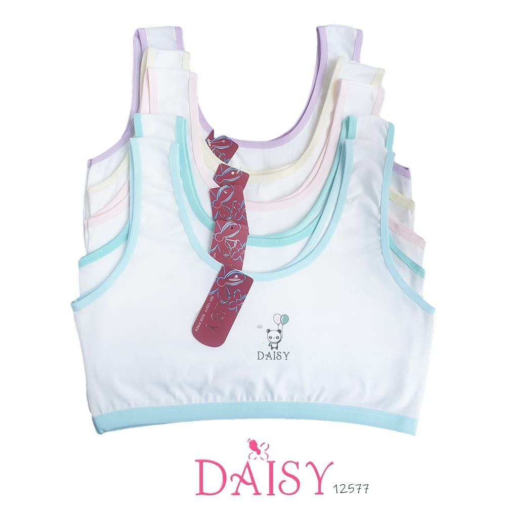 MINISET DAISY 12577