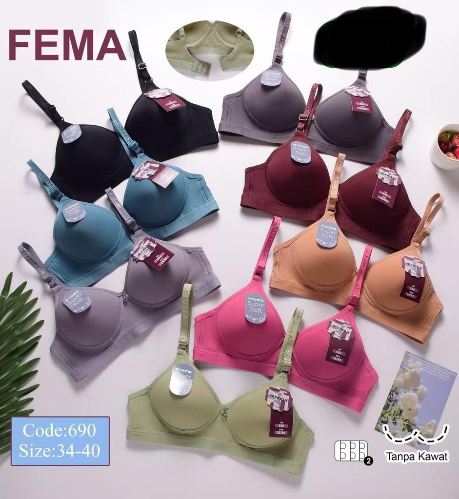 BH FEMA 690