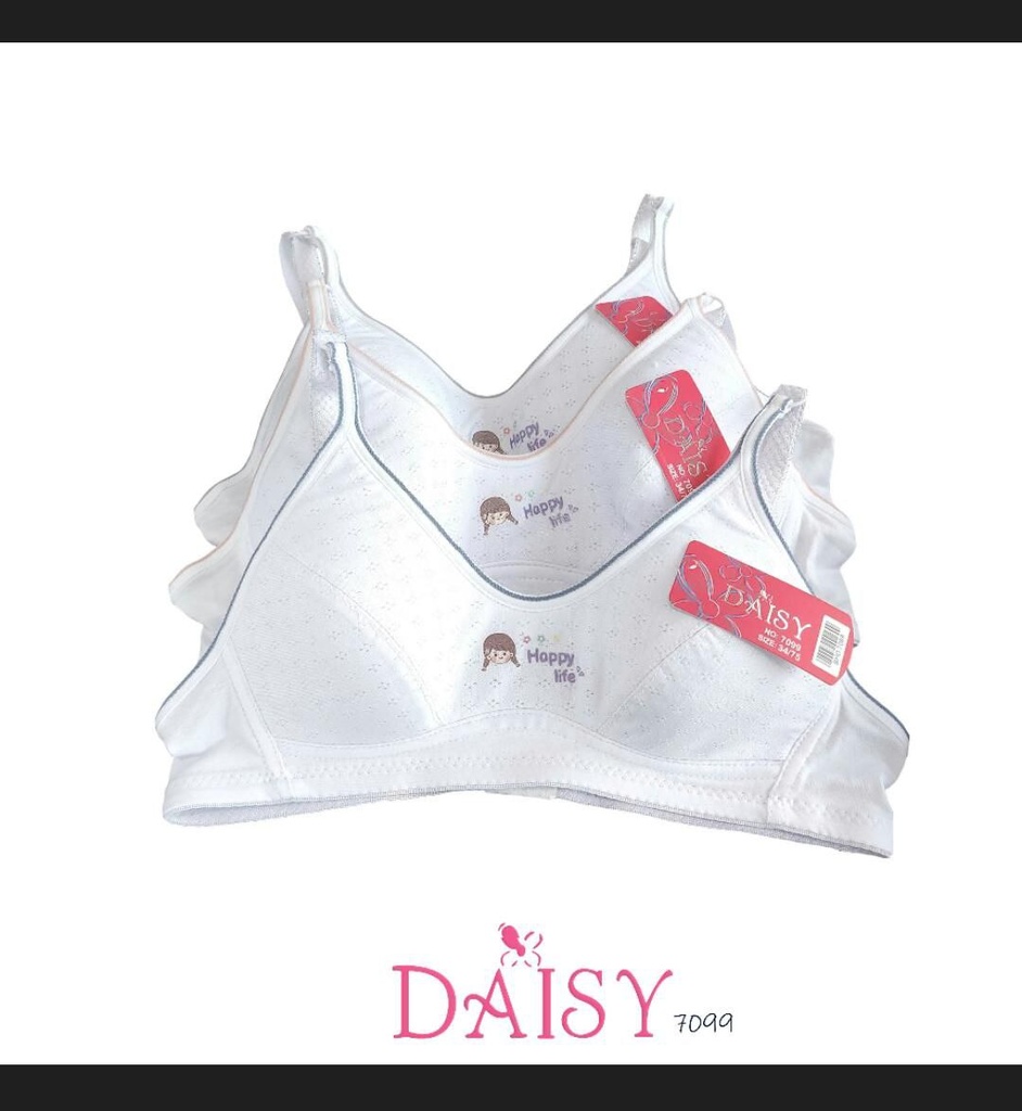 BH DAISY 7099
