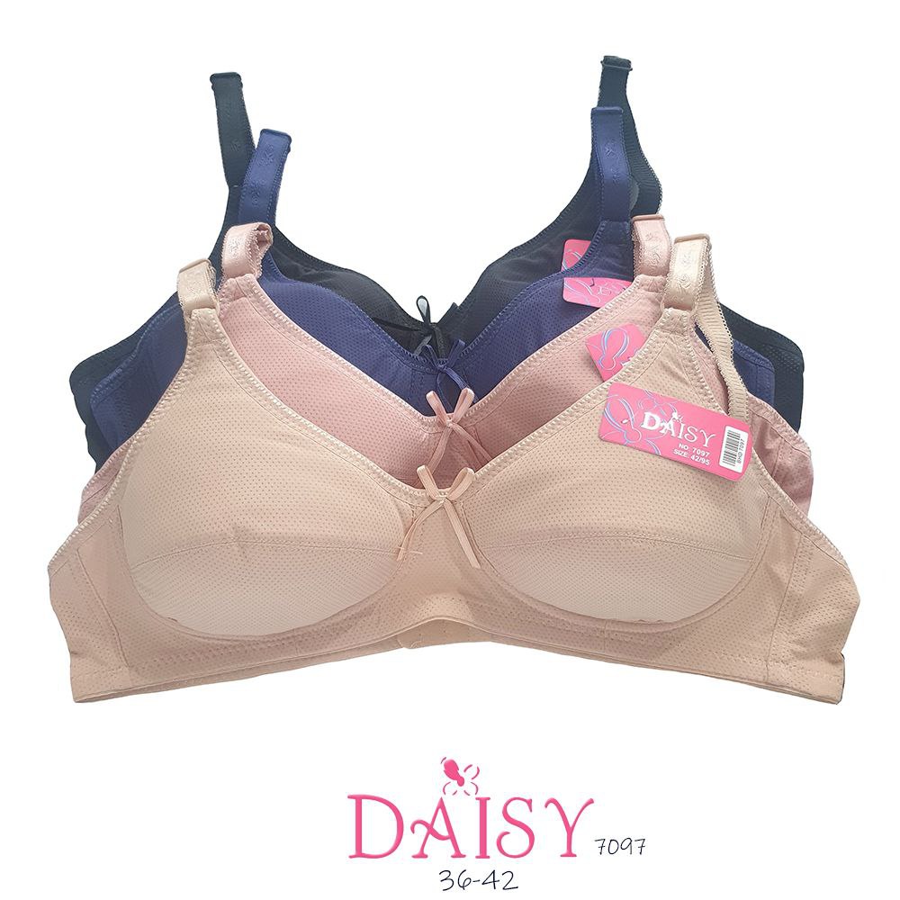 BH DAISY 7097