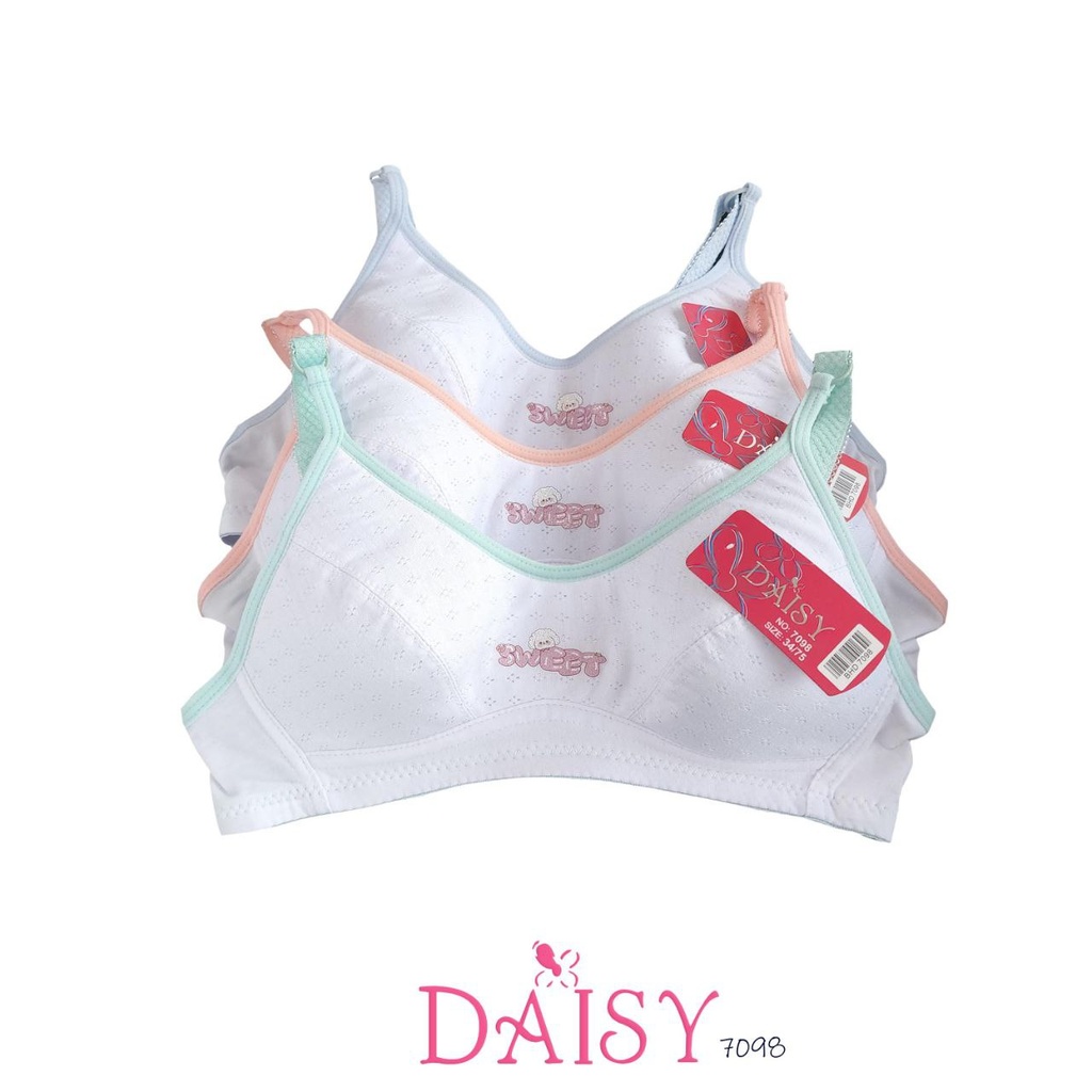 BH DAISY 7098