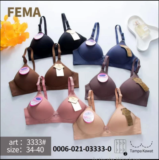 BH FEMA 3333