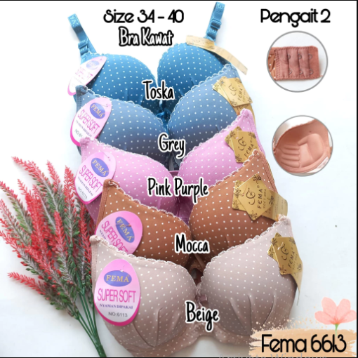 BH FEMA 6113 KWT
