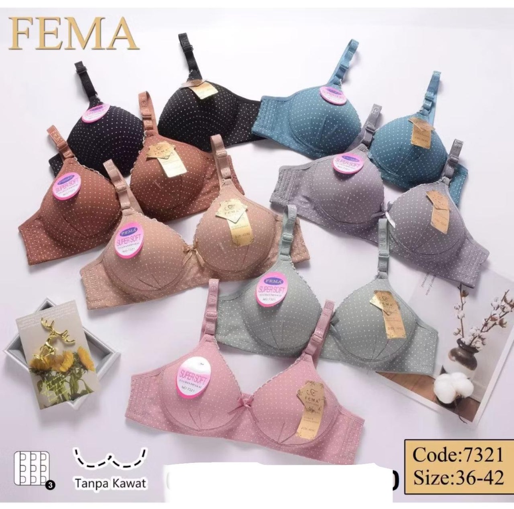 BH FEMA 7321