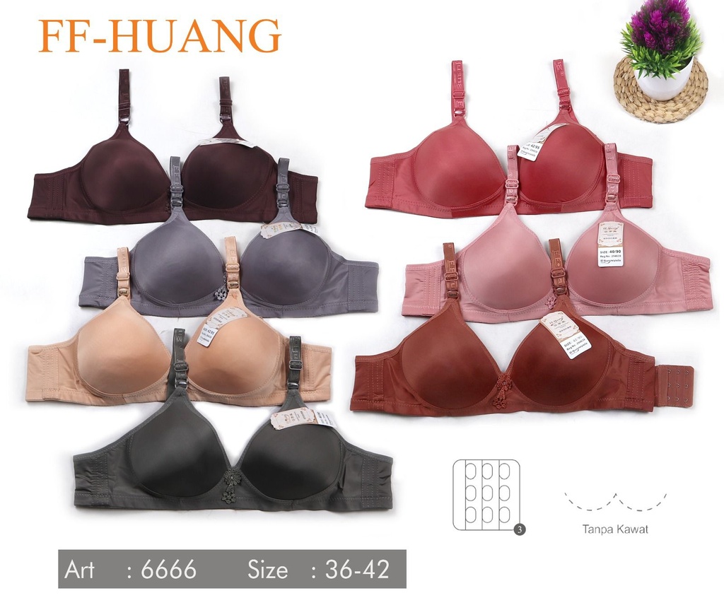BH FF HUANG PLS HAK3