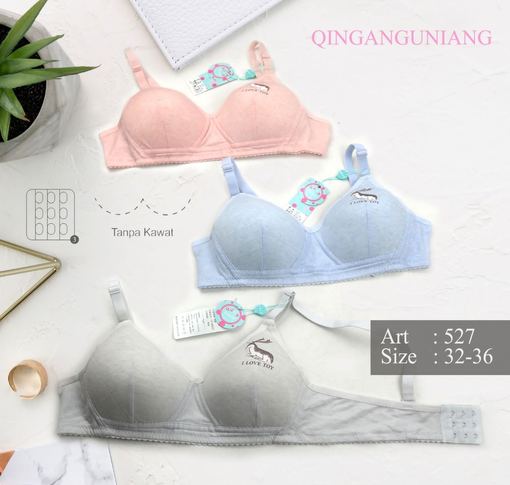 BH QINGANGUNIANG 527
