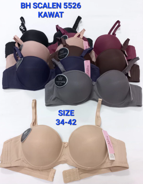 BH SCALEN 5526