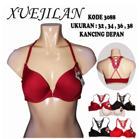 BH XUEJILAN 3088