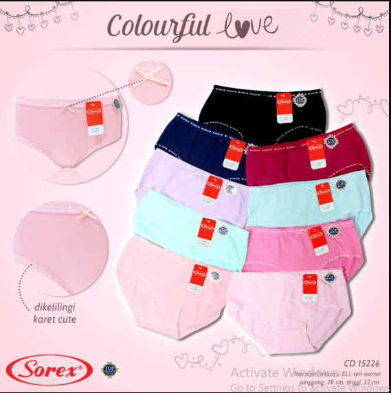 CDW SOREX 15226