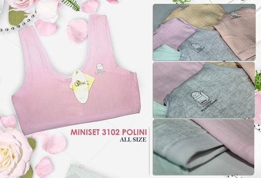 [3102PL] MINISET POLINI 3102