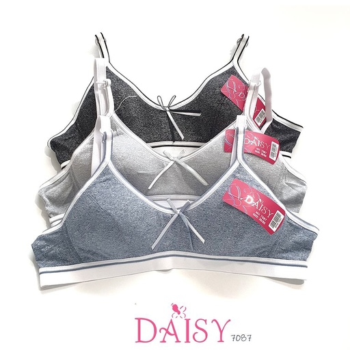 [7087] BH DAISY 7087
