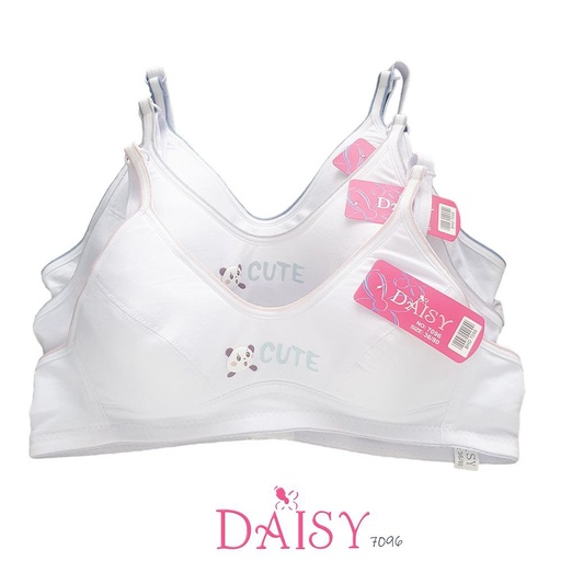 [7096] BH DAISY 7096