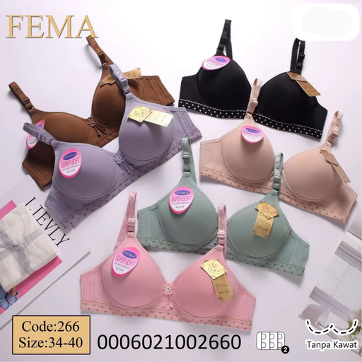 [266FM] BH FEMA 266