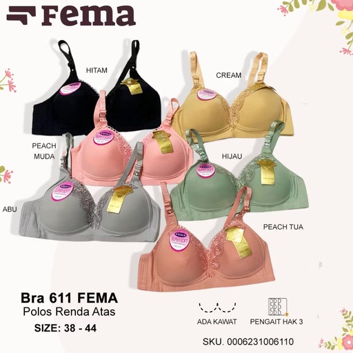 [611FM] BH FEMA 611