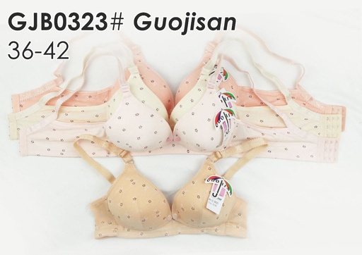 [GJB0323] BH GUOJISAN GJB0323