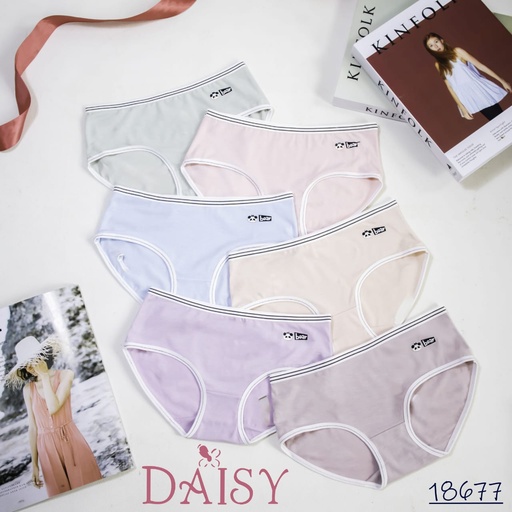 [18677] CDW DAISY 18677